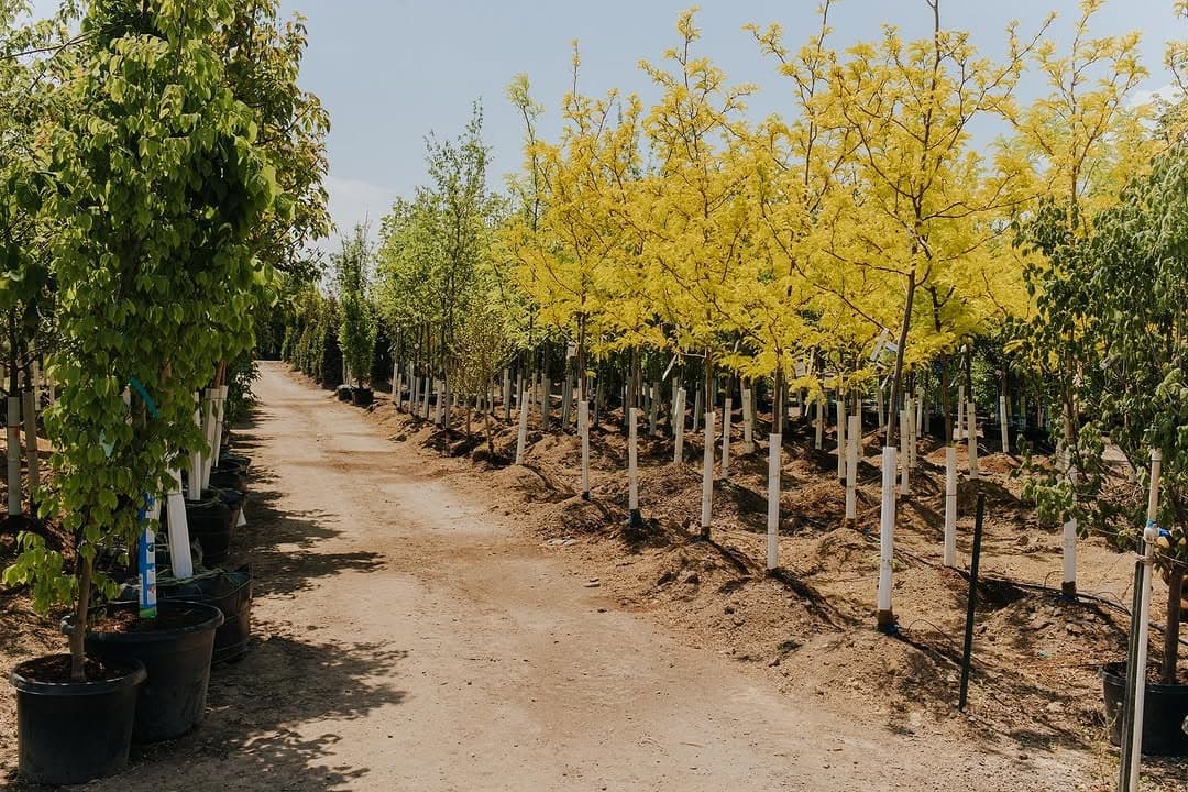 Erthago Projects Hero